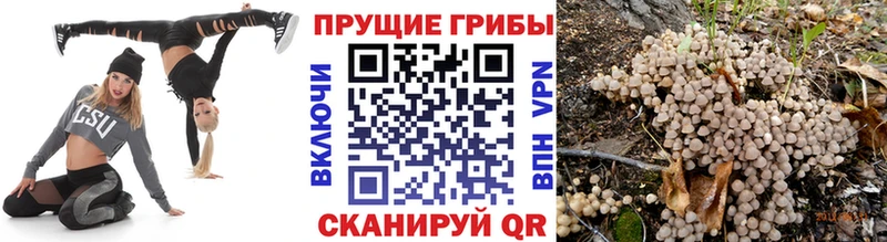 darknet какой сайт  ссылка на мегу как войти  Чехов  Галлюциногенные грибы прущие грибы 